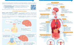 21051е_A5_ліфлет_Що варто знати про нікотин_page-0002